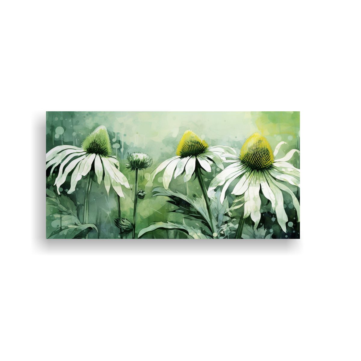 GENERICO - Lienzo Conceptual Herbs Coneflower En Tonos Verde 100x50 Cm