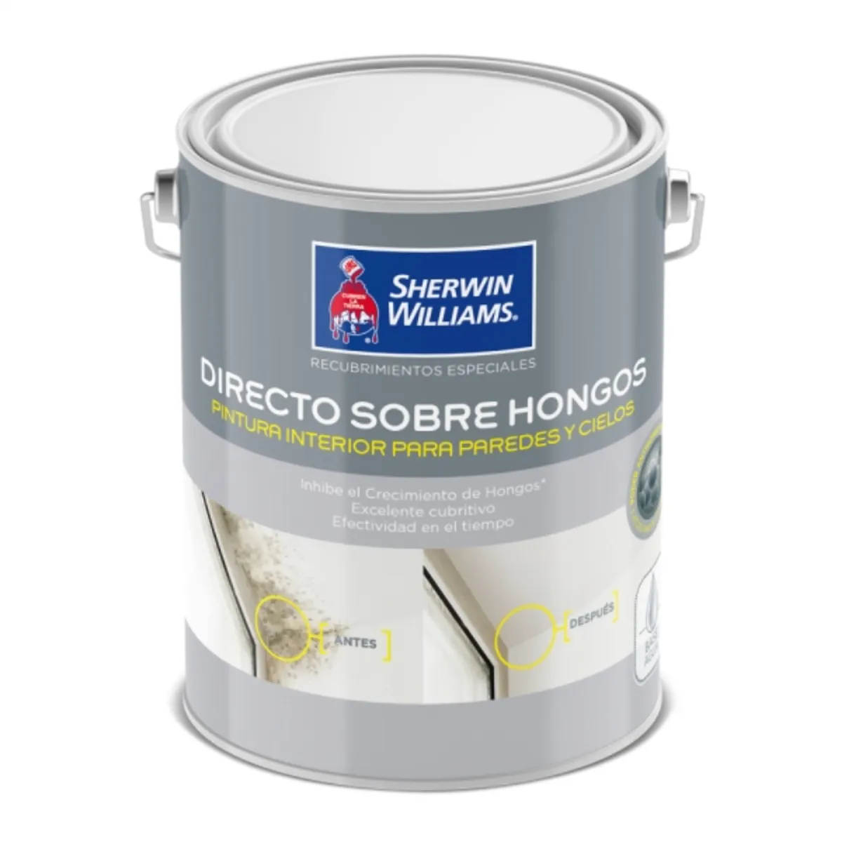 SHERWIN WILLIAMS - Esmalte al agua directo sobre hongos 1 gal