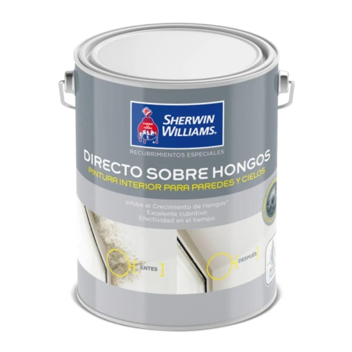 SHERWIN WILLIAMS - Esmalte al agua directo sobre hongos 1 gal