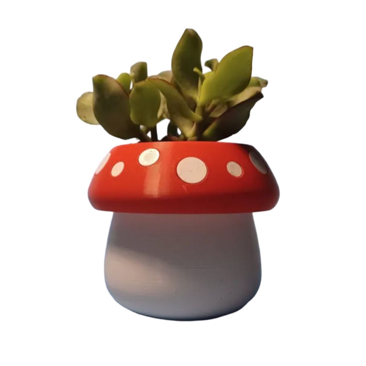 GENERICO - Mini maceta - Diseño Honguito