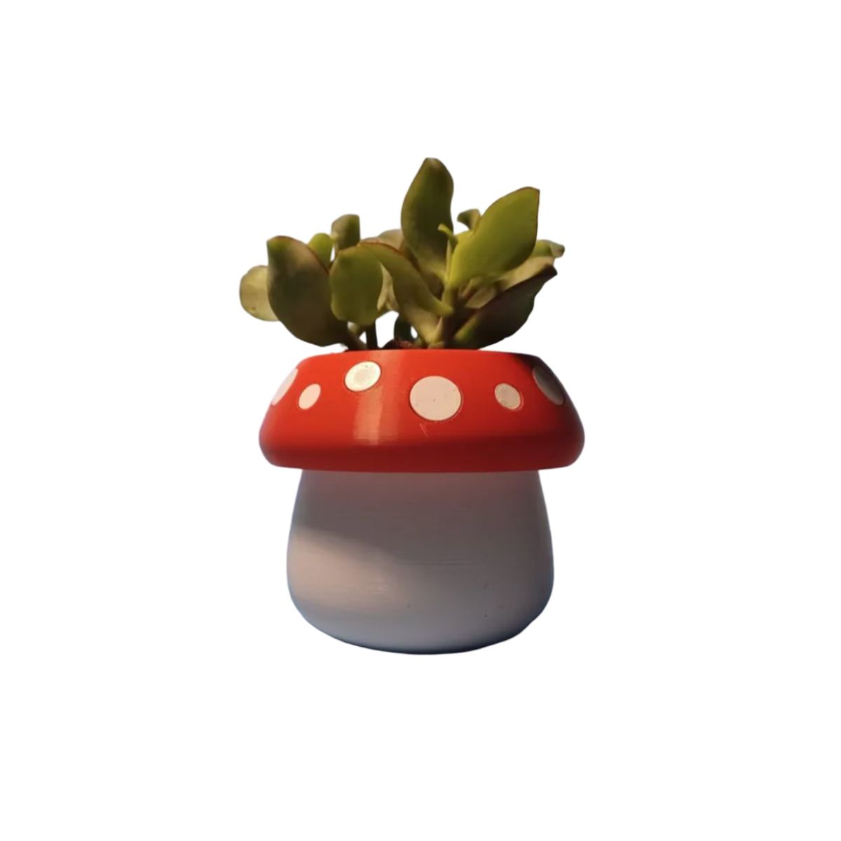 GENERICO - Mini maceta - Diseño Honguito