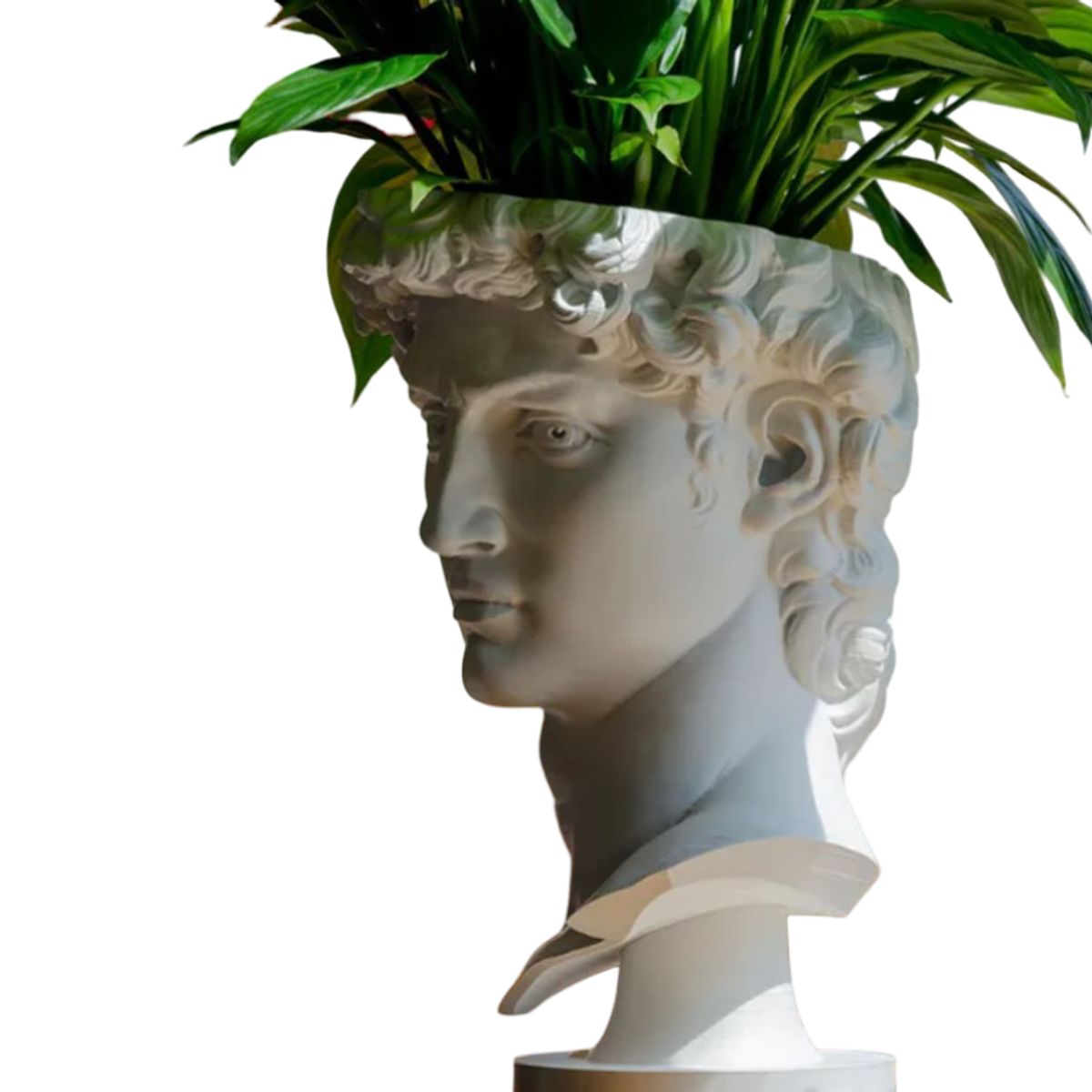 GENERICO - Maceta - Diseño David