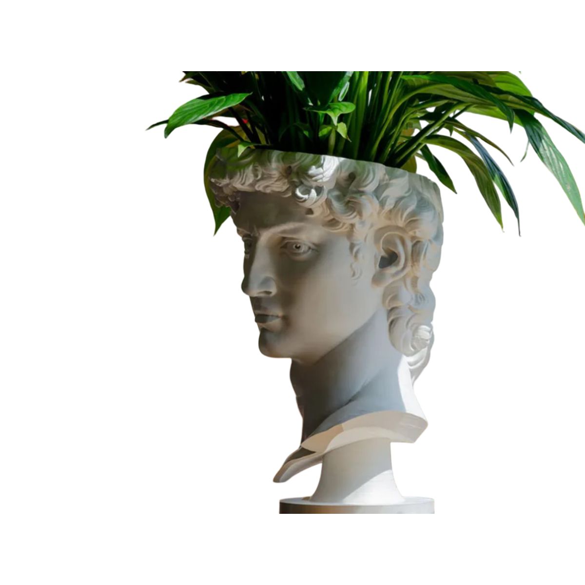 GENERICO - Maceta - Diseño David