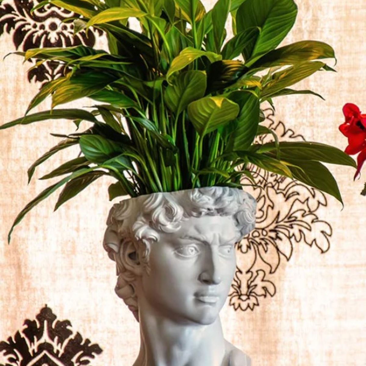 GENERICO - Maceta - Diseño David