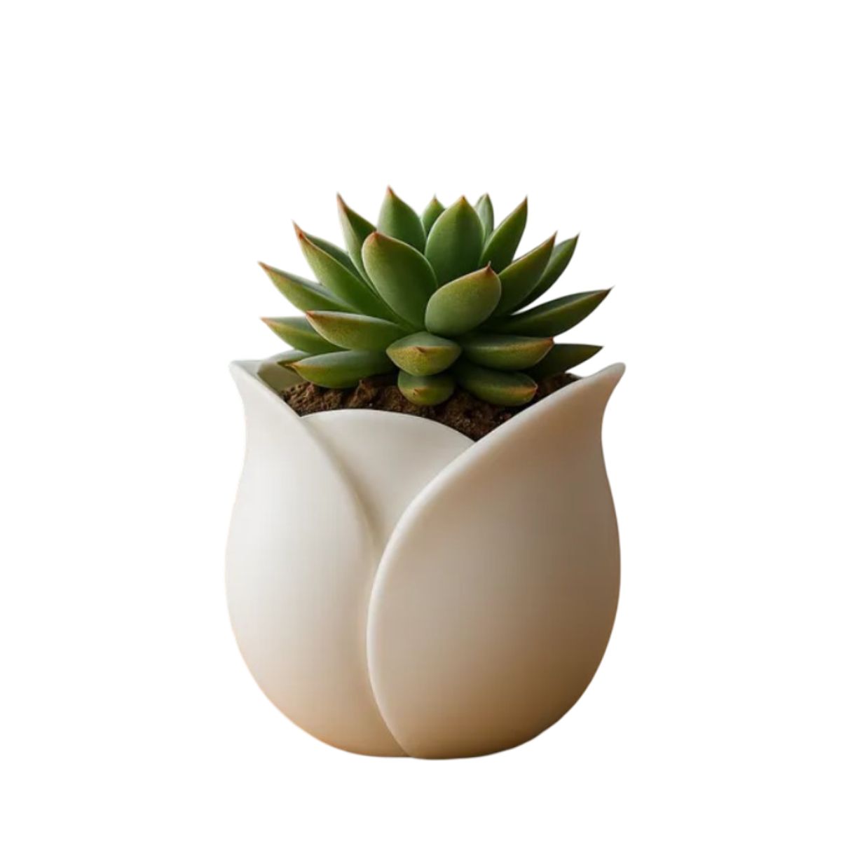 GENERICO - Maceta - Diseño Tulipán.