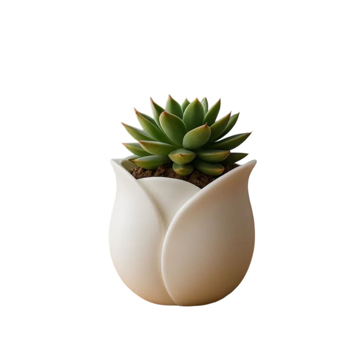 GENERICO - Maceta - Diseño Tulipán.