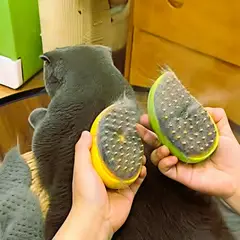 GENERICO - Cepillo de pelo 3 en 1 para perros y gatos, cepillo eléctrico de limpieza para mascotas, cepillo de pulverización de vapor, peine de masaje