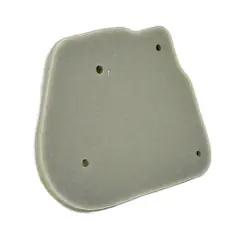 GENERICO - Filtro Aire BWS100 YW100 JAP HIBARI