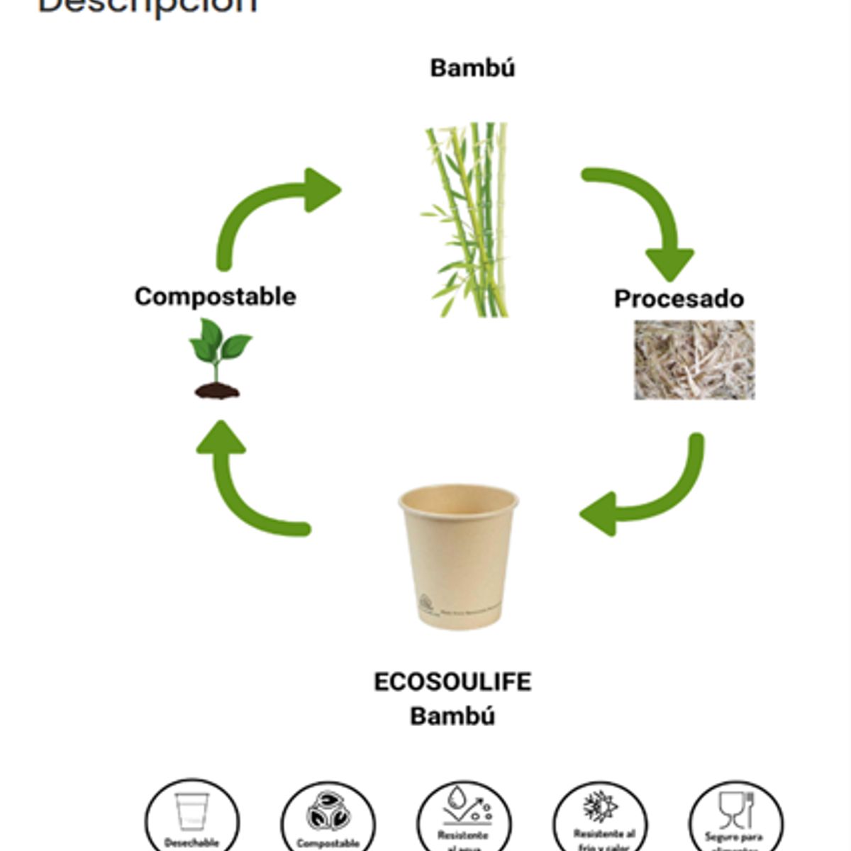 ECOSOULIFE - Set De 50 Vasos 355ml (12oz) de Pulpa de Bambú