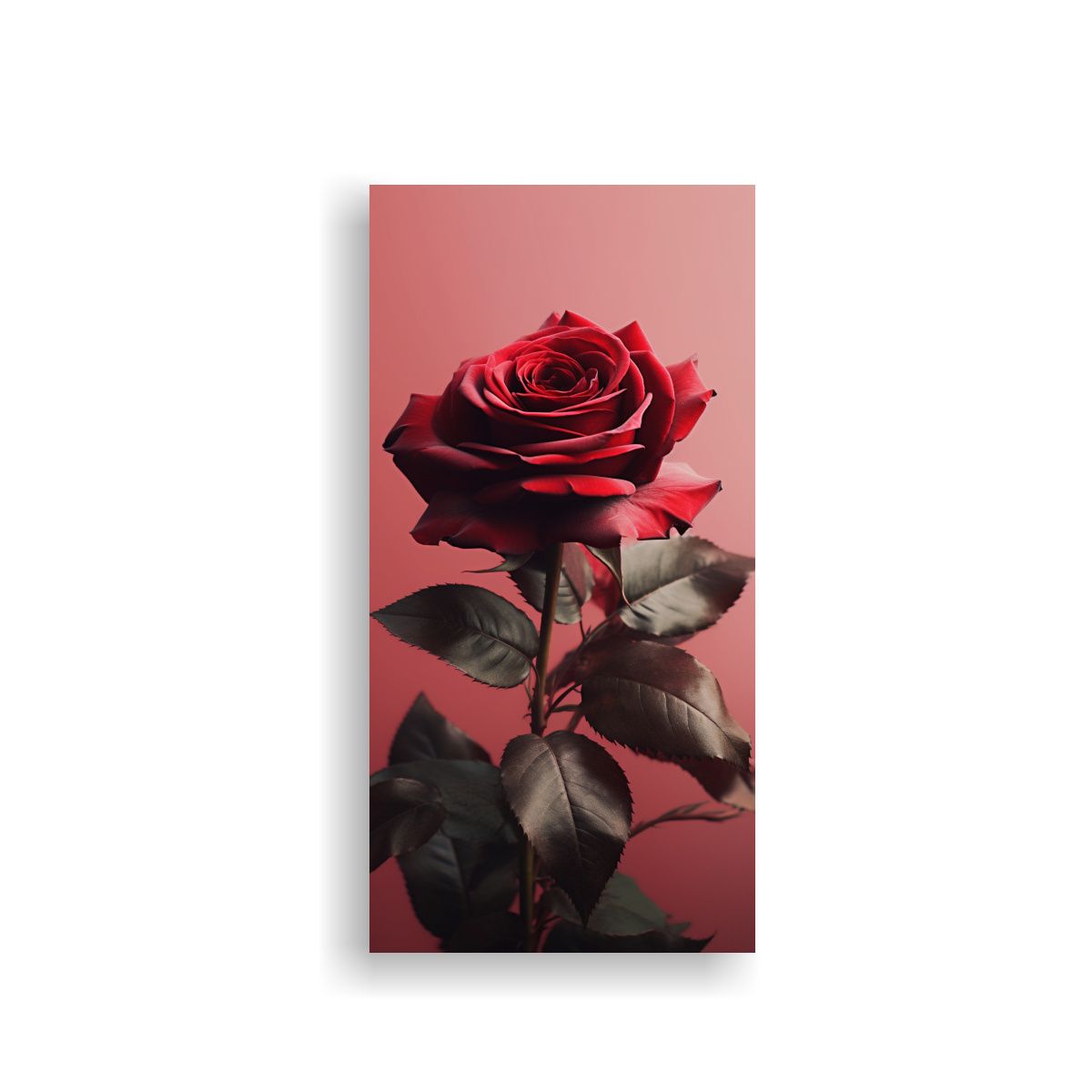 GENERICO - Fondo De Pantalla Minimalista Con Rosa Romántica 80x160 Cm