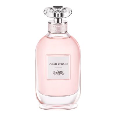 Imagen 2 del producto Perfume Mujer Dreams Edp 90Ml