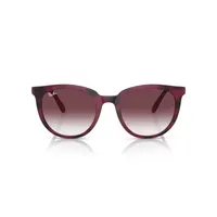 Ray-Ban Lentes de Sol RB4383L 655336 53