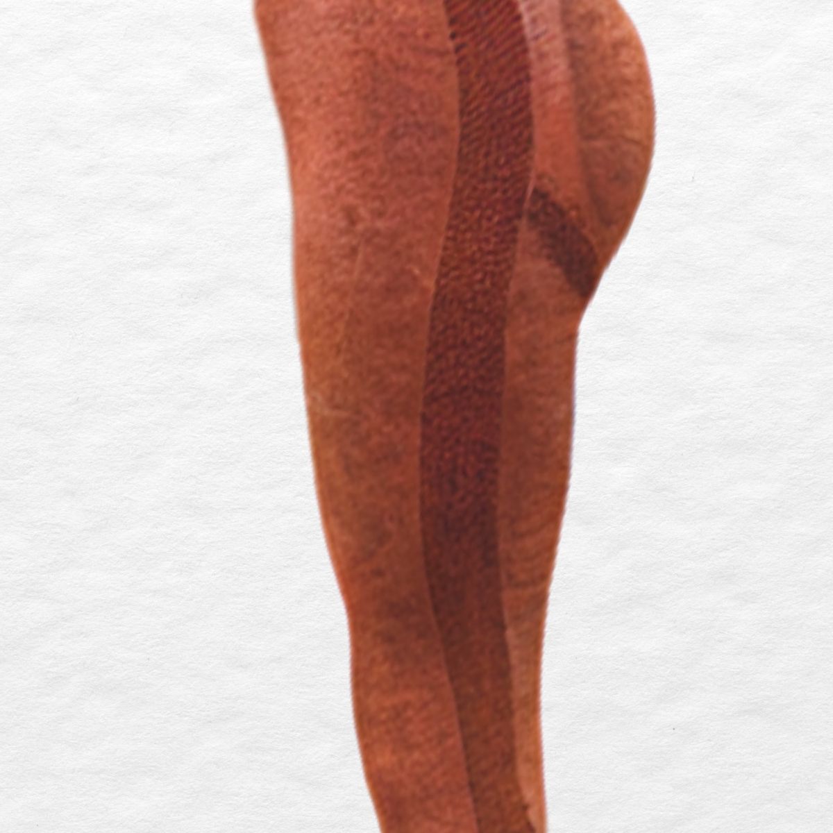 LIKE SHOP - Calza Mujer Deportiva Fitness Gym Tiro Alto Levanta Cola 9003