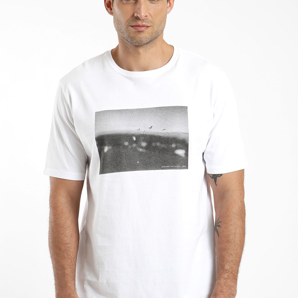 FROENS - Polera hombre manga corta foto oceano 100% algodón orgánico Froens