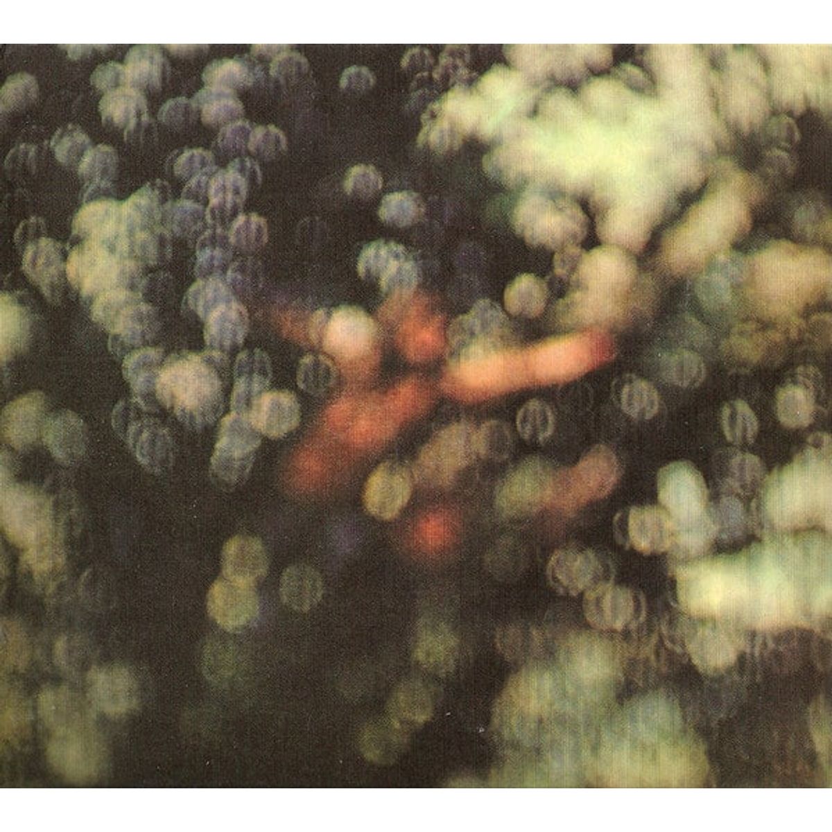 GRUPO LASER DISC - CD PINK FLOYD OBSCURED BY CLOUDS GATEFOLD 1CD