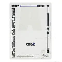 GRUPO LASER DISC - CD STRAY KIDS GO SEI VOL1 1CD