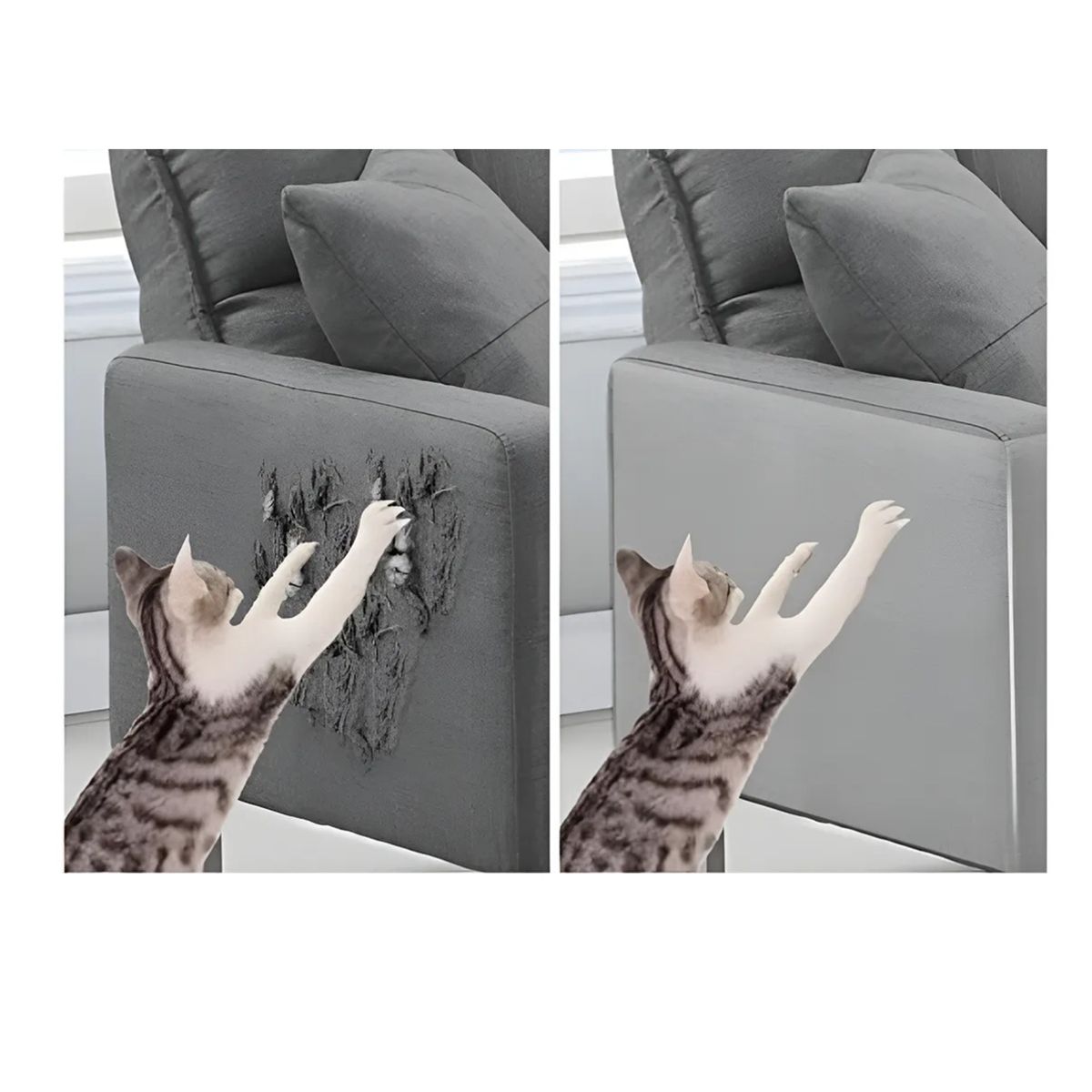 GENERICO - Rasguñador Para Gato Protectores De Arañazos Sillon Sofa gato