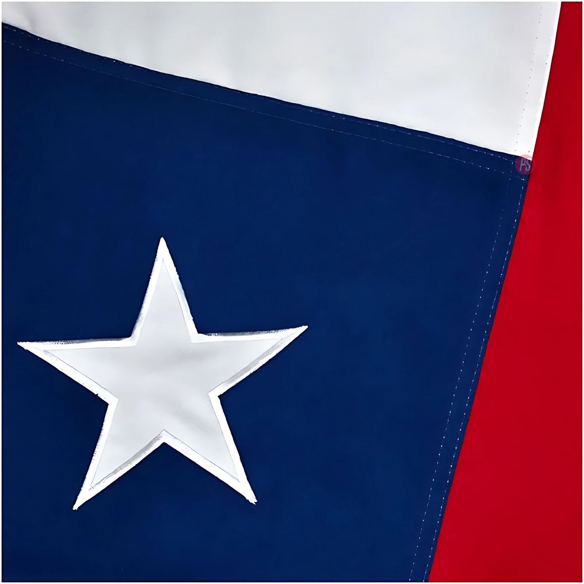 DORAL - Bandera Chilena 60x90cm Con Estrella Bordada - PS