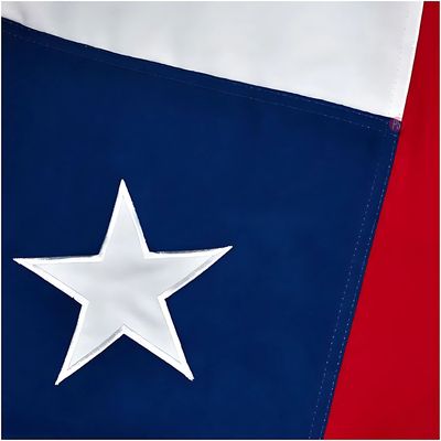 Imagen 2 del producto Bandera Chilena 60x90cm Con Estrella Bordada - PS