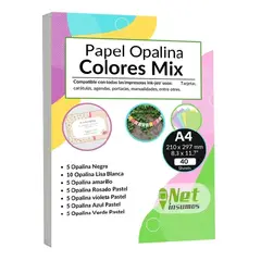 GENERICO - Papel Opalina Colores Doble Faz 220gr Mix A4 40 Hojas Multicolor