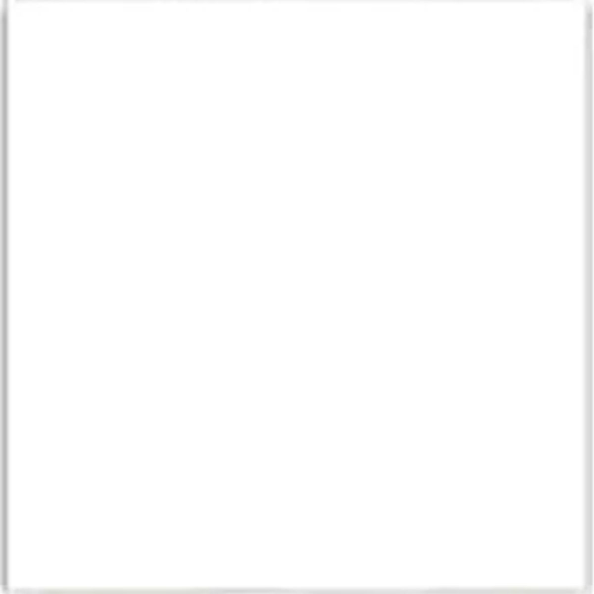 GENERICO - Pliego Cartulina Doble Faz 50x70 Cm Manualidades Blanco