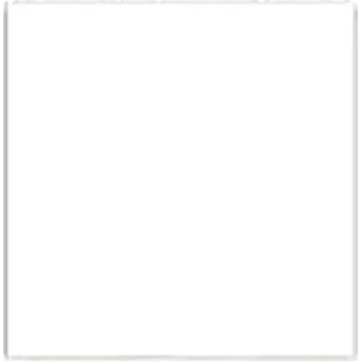 GENERICO - Pliego Cartulina Doble Faz 50x70 Cm Manualidades Blanco