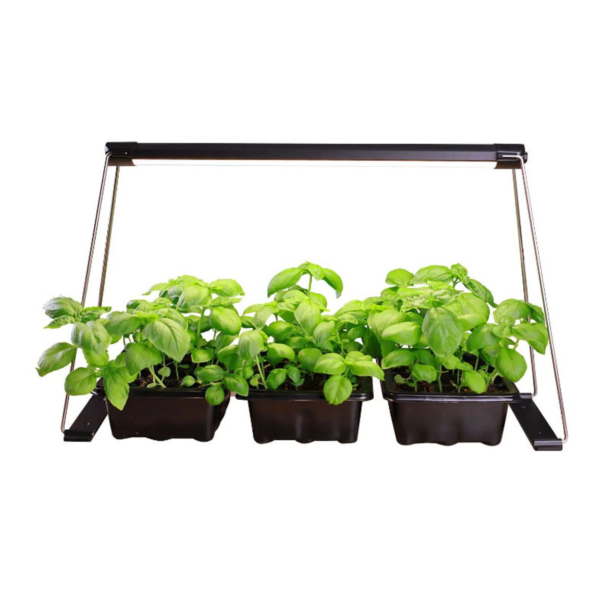 GENERICO - Lámpara de luz led para crecimiento de cultivos indoor 14w