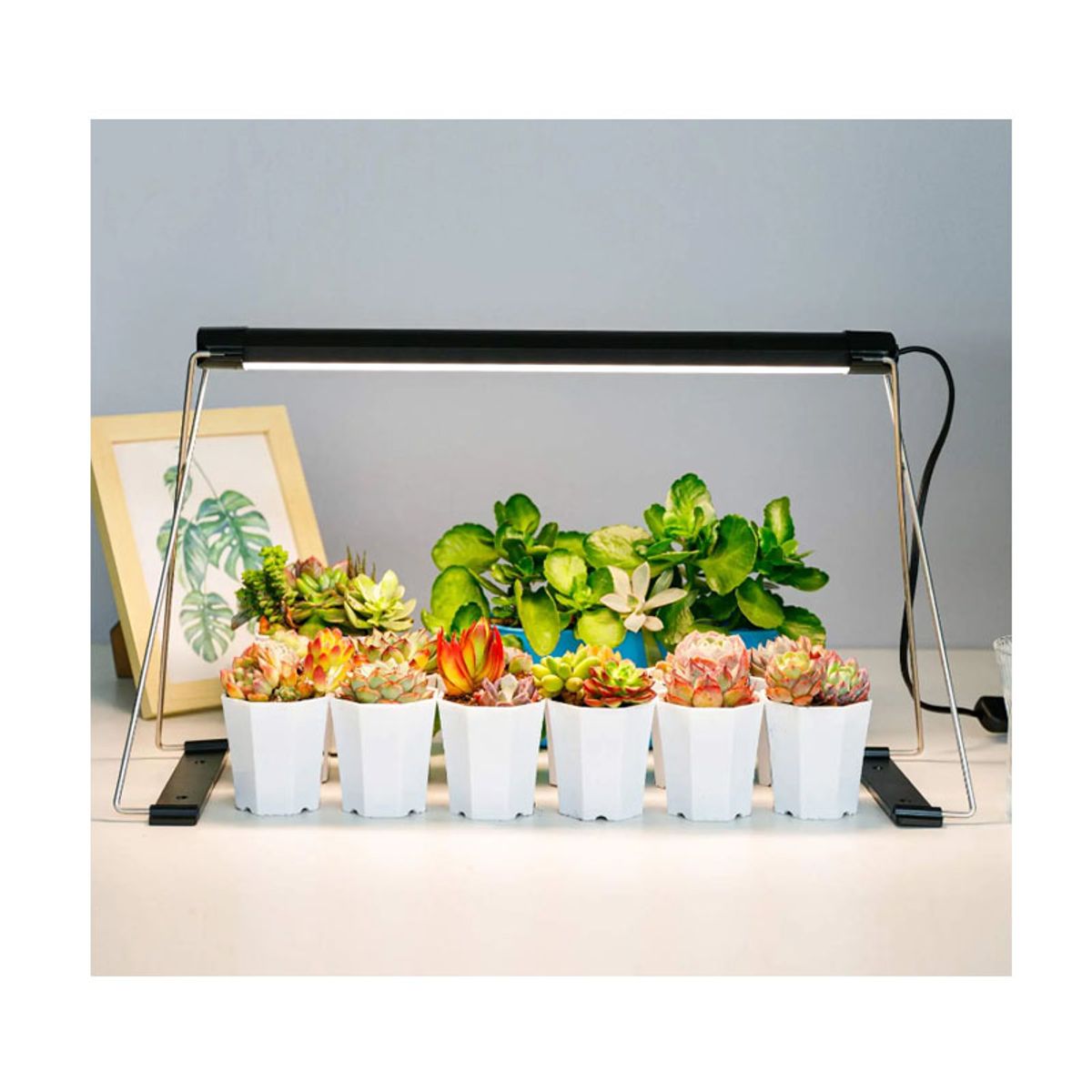 GENERICO - Lámpara de luz led para crecimiento de cultivos indoor 14w