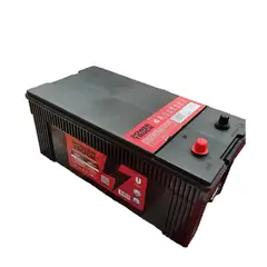 POWER TRUCK - BATERIA 220 AMP 1300 CCA BORNE ESTANDAR