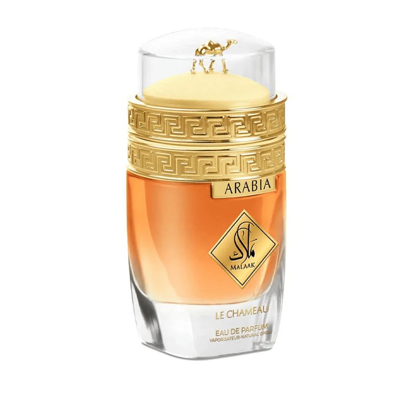GENERICO - Le Chameau Emper Arabia Malaak Edp 100ml Unisex