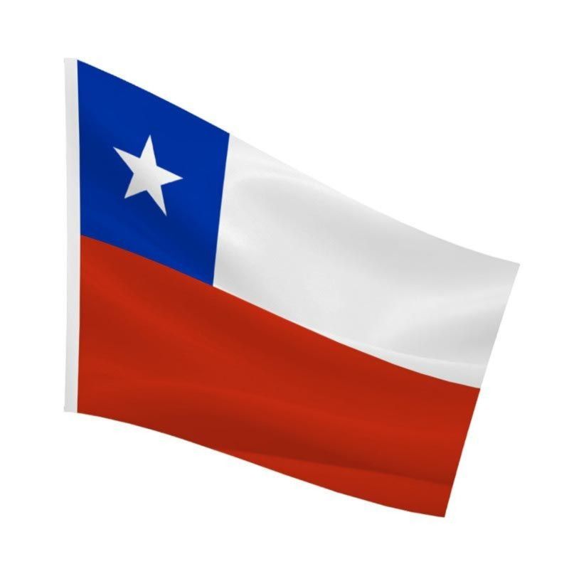 DORAL - PACK X 4 BANDERA DE CHILE ESTRELLA ESTAMPADA 90×150 CENTIMETROS  DORAL