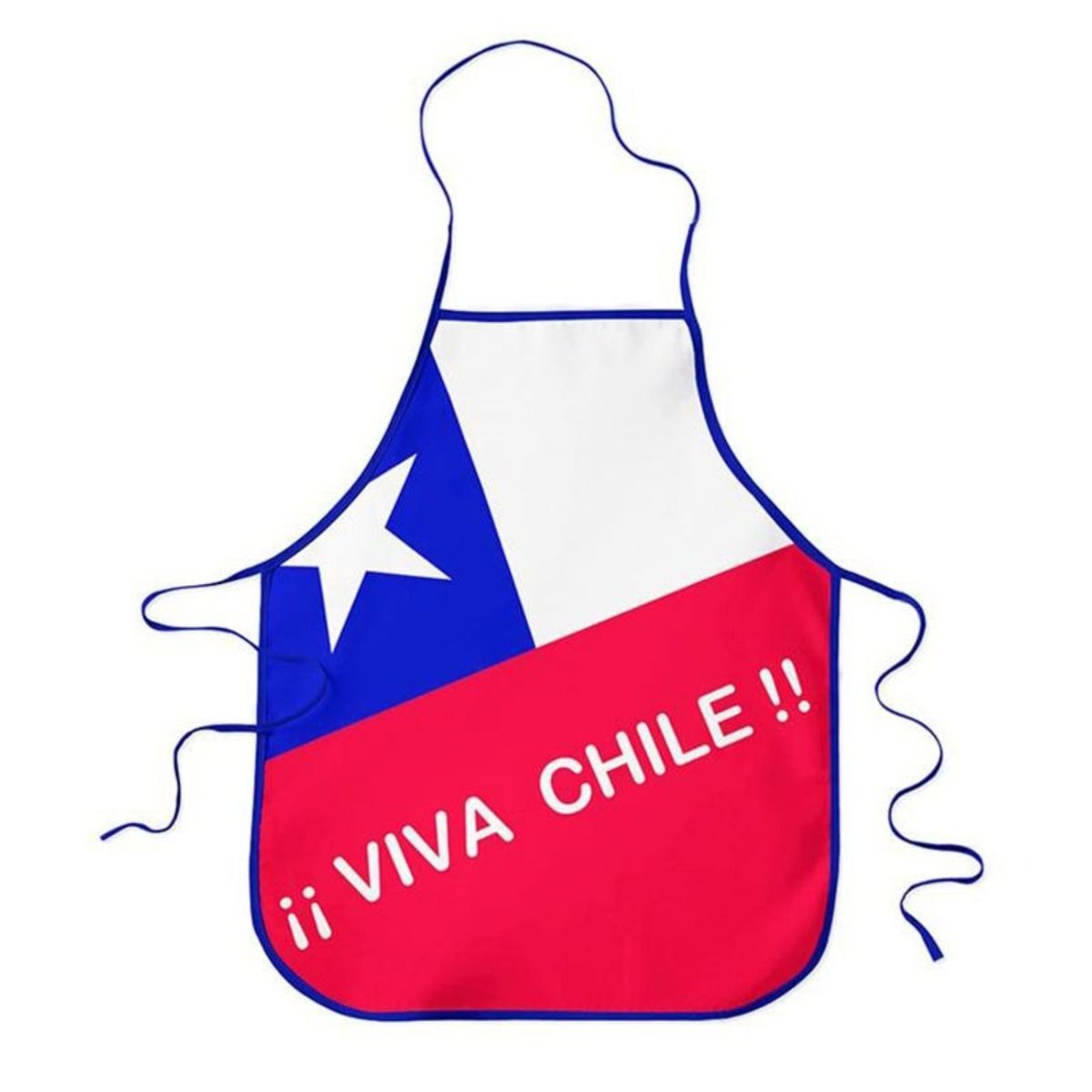 PALERMO - PACK X 4 DELANTAL COCINA  BANDERA -PALERMO