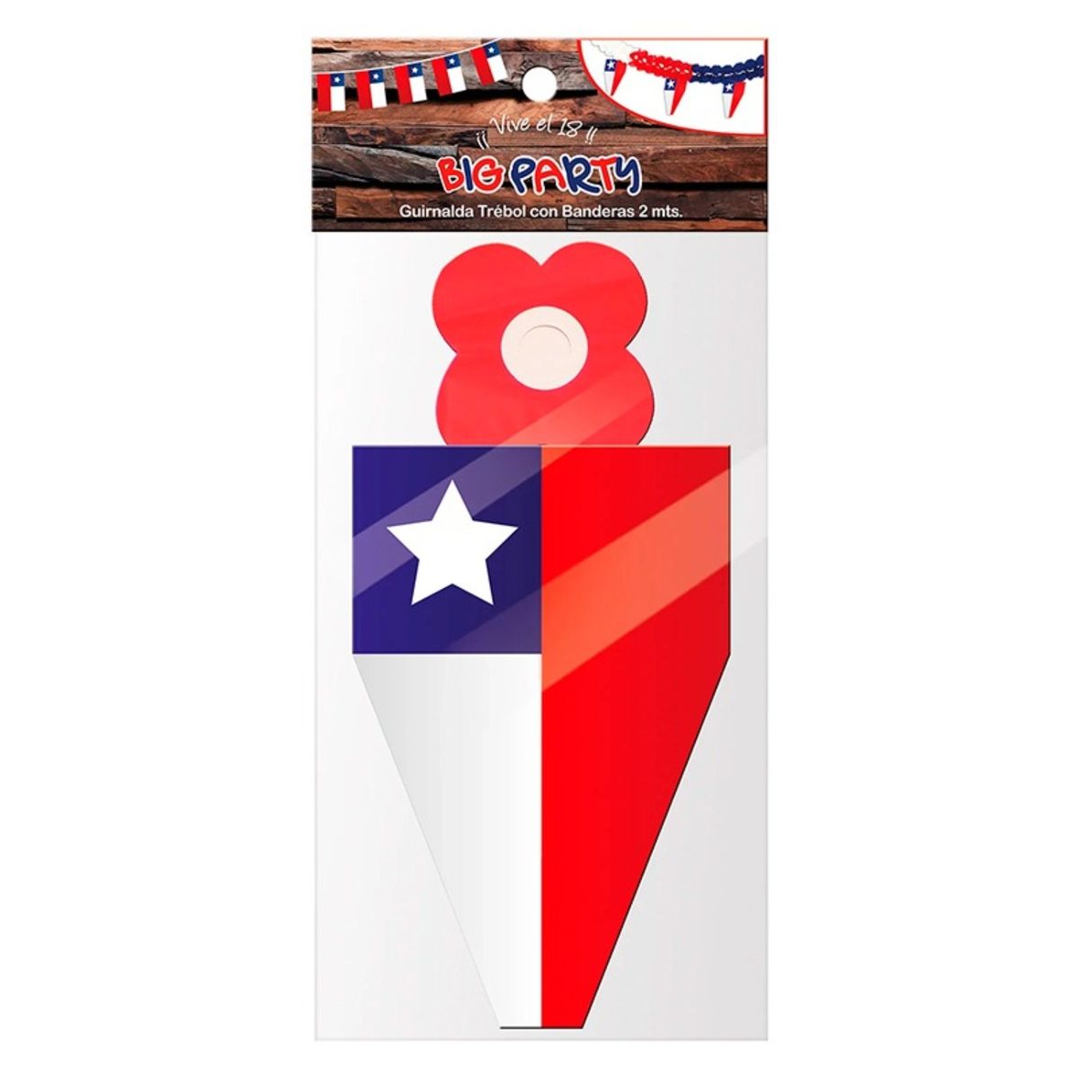 BIG PARTY - PACK X 4 GUIRNALDA DICIOCHERA TREBOL CON BANDERAS 2 METROS  BIG PARTY