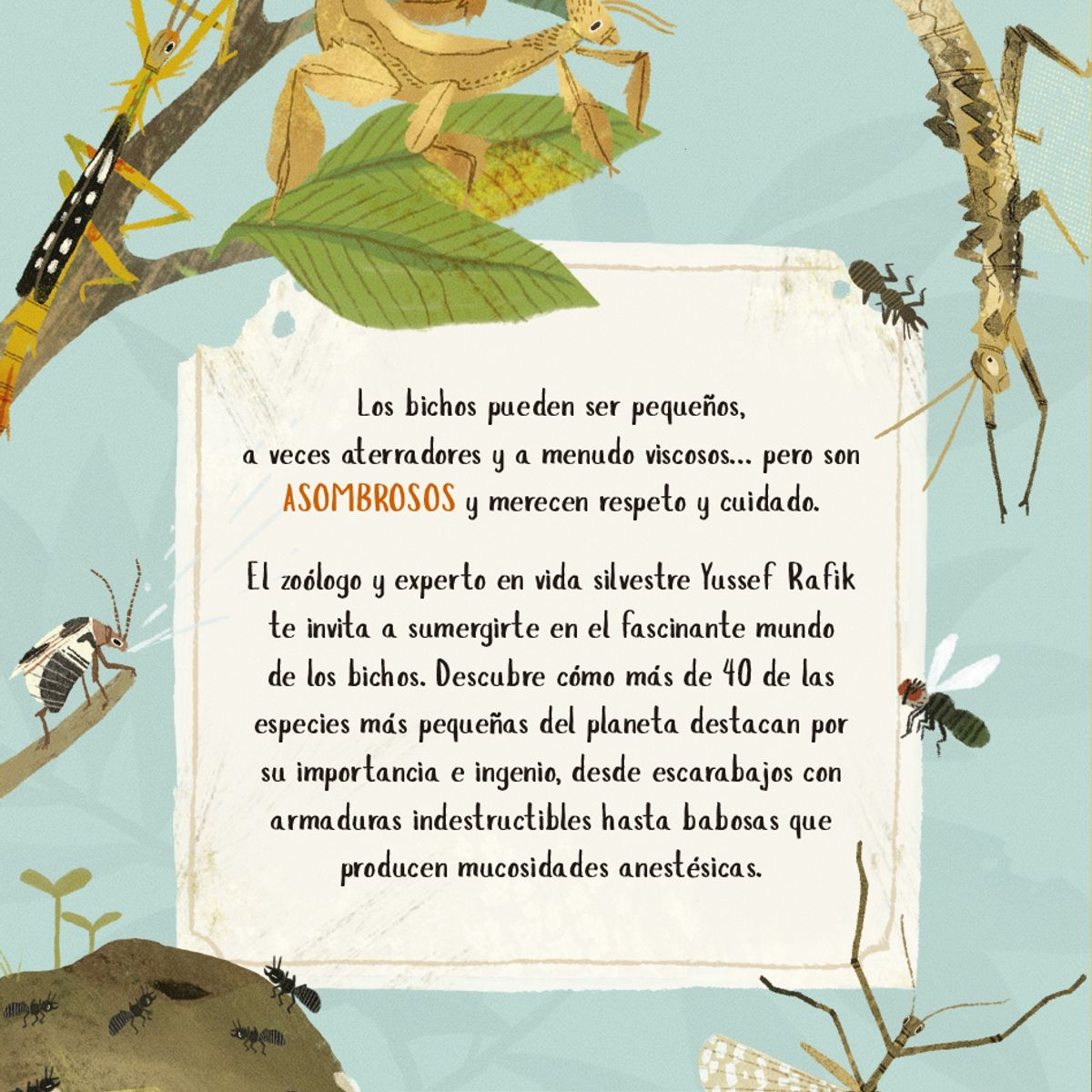 EDITORIAL CONTRAPUNTO - ¡No aplastes a los bichos!