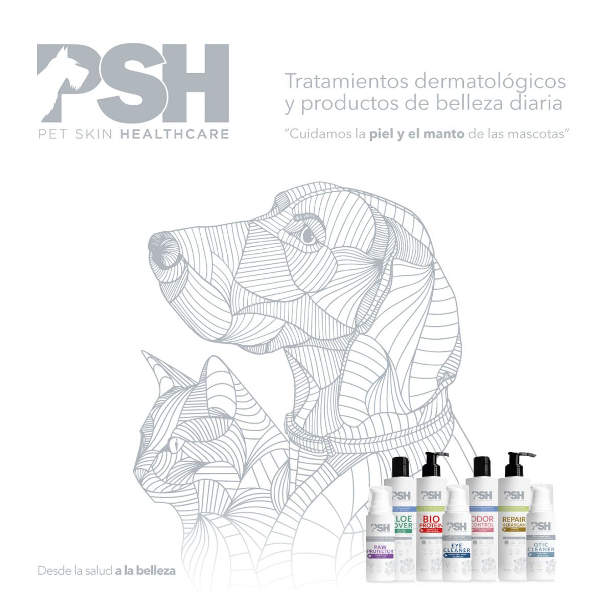 GENERICO - Shampoo Limpieza en Seco para Mascotas Dry Shampoo PSH 300 ml