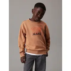 CALVIN KLEIN - Polerón Niño Gradient Flock Logo Café