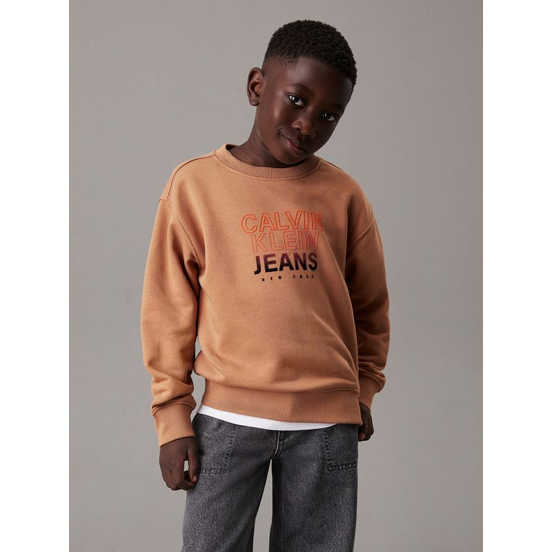 CALVIN KLEIN - Polerón Niño Gradient Flock Logo Café Calvin Klein