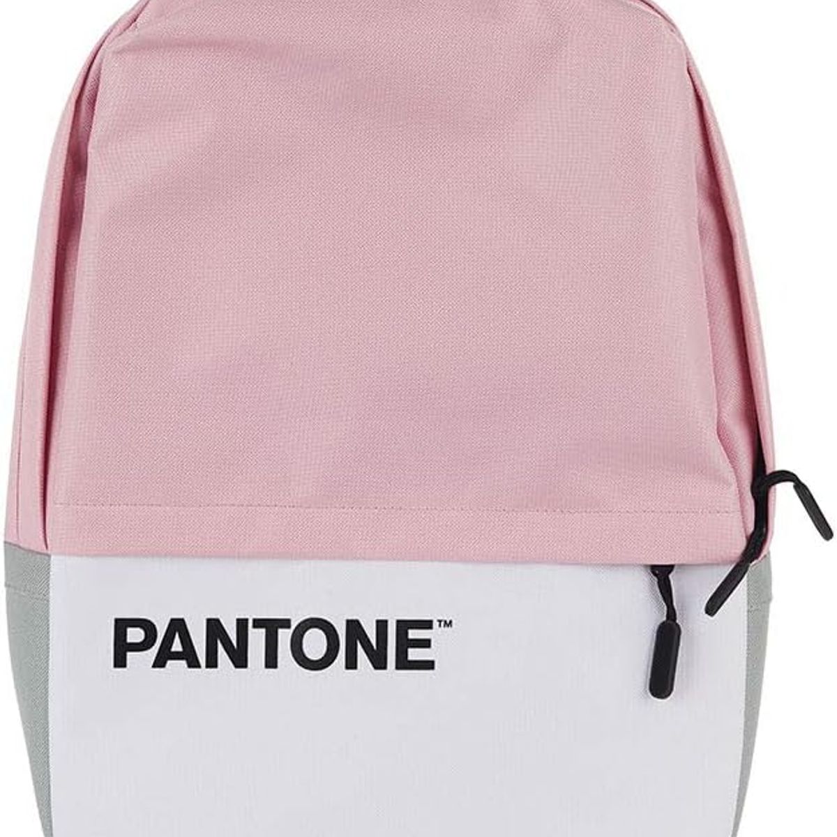OEM - Mochila Rosada Pantone de Notebooks 16” + Cable de Carga USB - Rosa