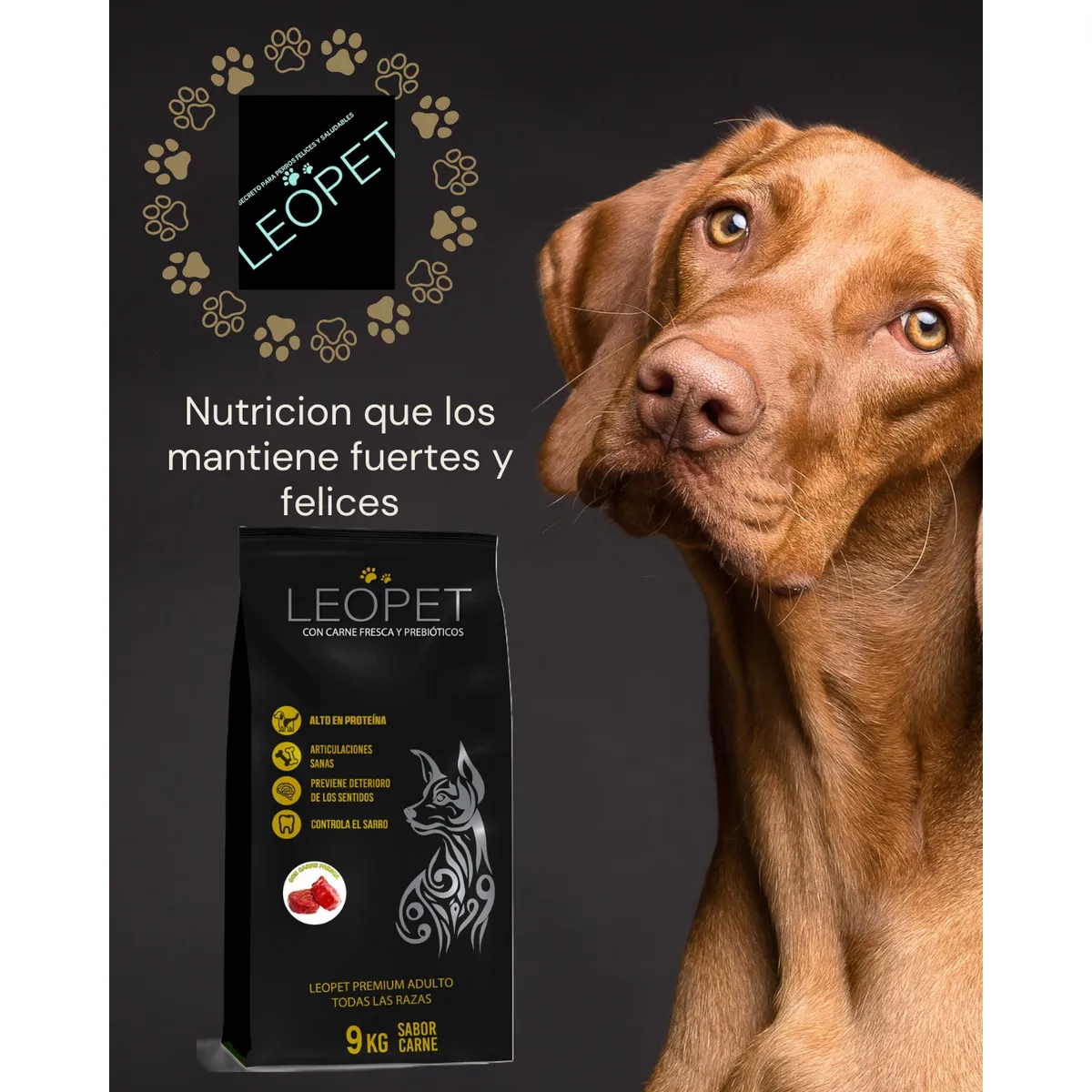GENERICO - Alimento para Perro Adulto LEOPET PREMIUM Sabor Carne 9 kg
