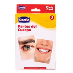 DACTIC - Lámina Partes Del Cuerpo