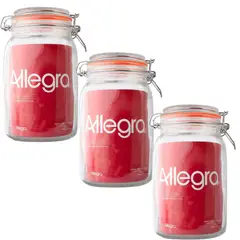 ALLEGRA - Pack de 3 Frascos de Vidrio con tapa Hermética 145L