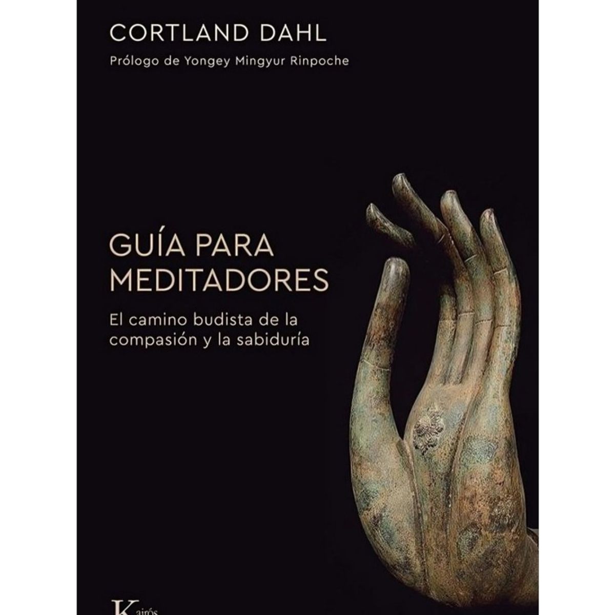 TOP10BOOKS - LIBRO Guía Para Meditadores - Guía Para Meditadores
