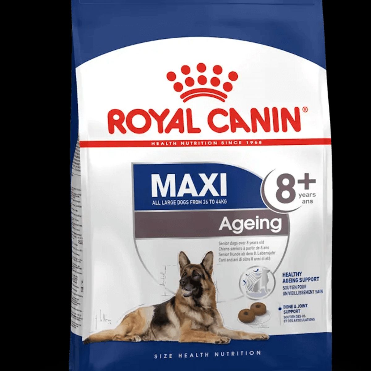 ROYAL CANIN - Royal Canin Maxi Ageing 8+ Canino 15 kg