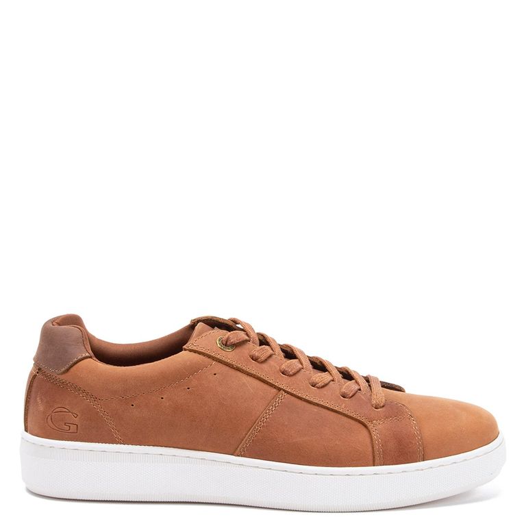 Zapatilla - Melbourne - - Camel