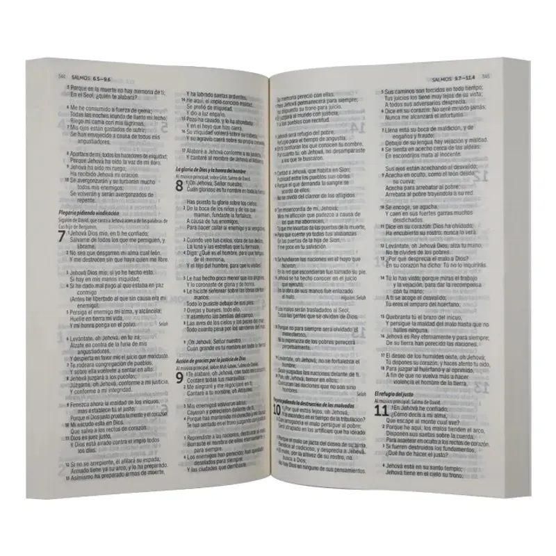 SOCIEDADES BIBLICAS UNIDAS - Biblia Reina Valera 1960 Misionera Evangelismo