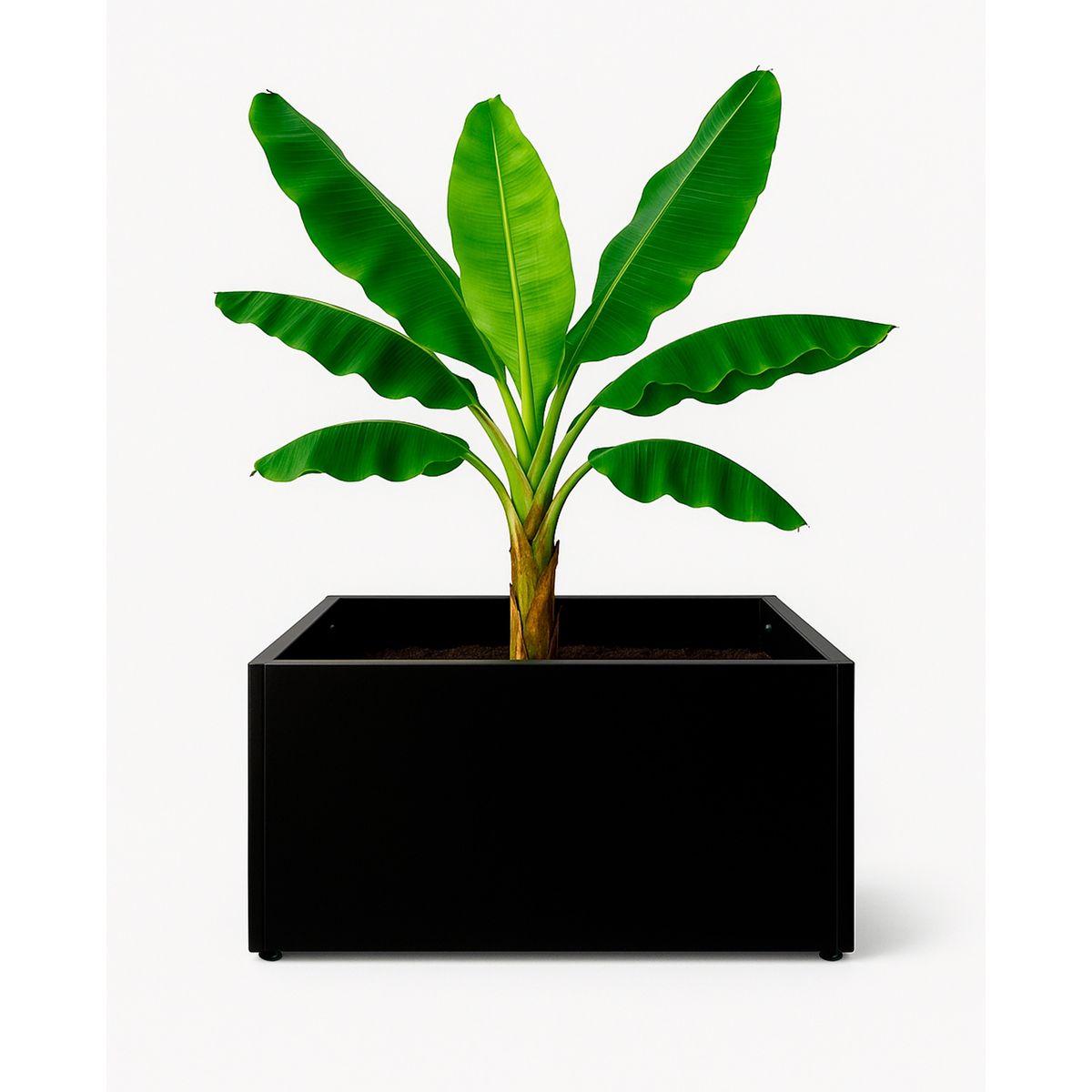 VERSATILE - Bancal MetalPlanter 70-35 -S