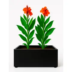 VERSATILE - Maceta IronLeaf Bajo-M