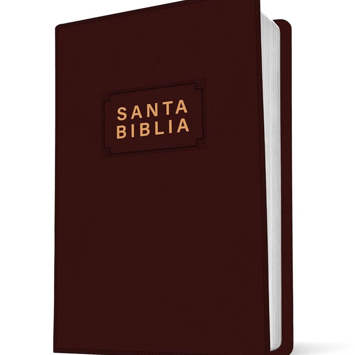 TYNDALE HOUSE PUBLISHERS - NTV Biblia Edición Premio Y Regalo Imitación Piel - Vino Tinto