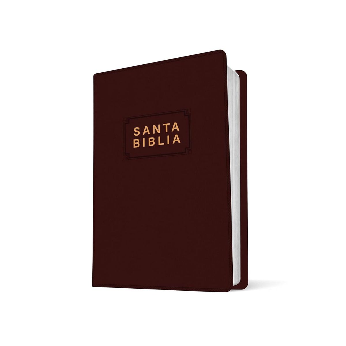 TYNDALE HOUSE PUBLISHERS - NTV Biblia Edición Premio Y Regalo Imitación Piel - Vino Tinto