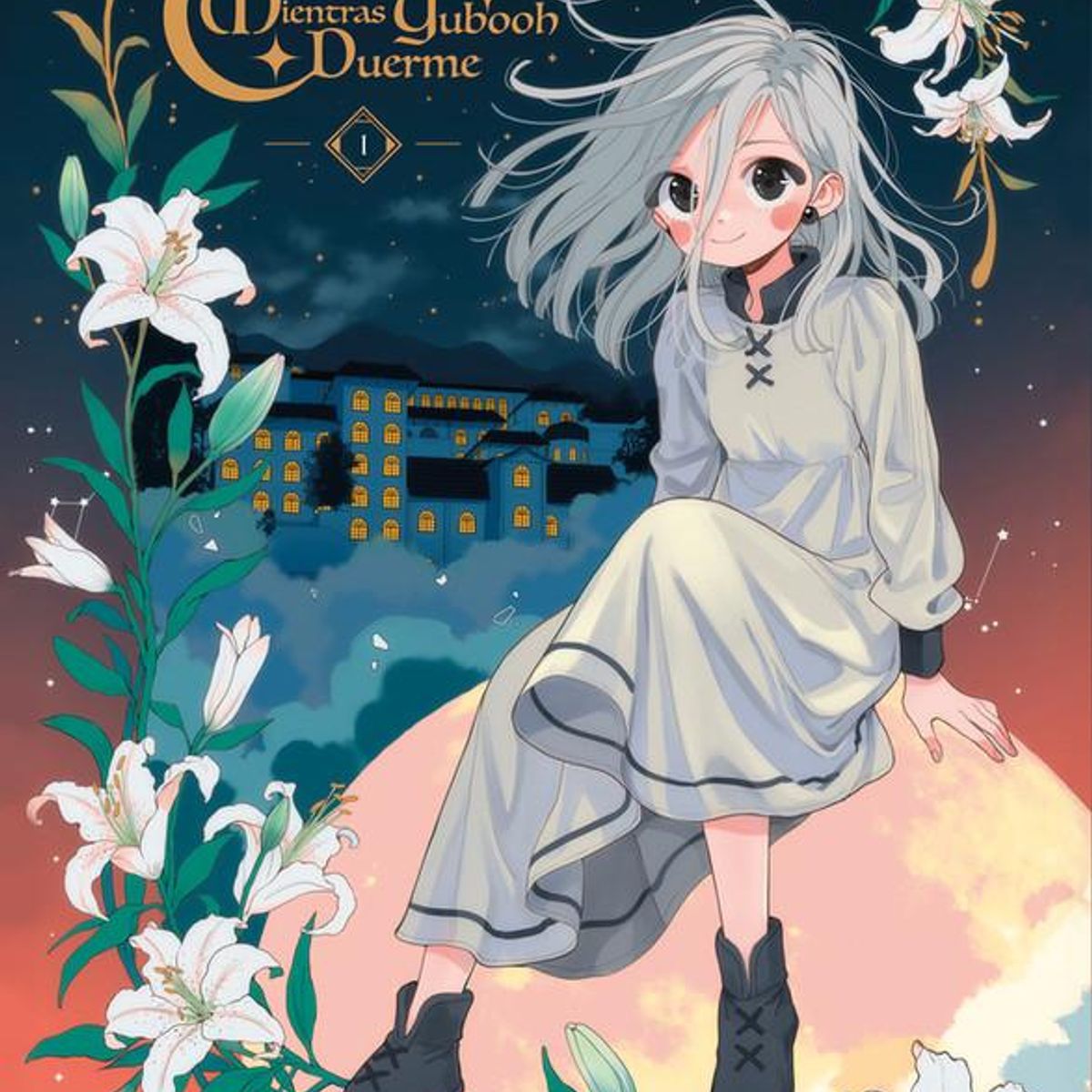 PLANETA COMIC - Libro Mientras Yubooh duerme Ed Especial - Paulina Palacios